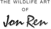 The Wildlife Art of Jon Ren. View More...